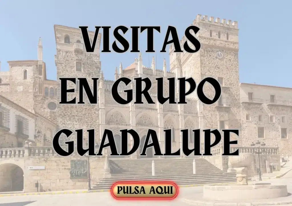 visitas en grupo Guadalupe