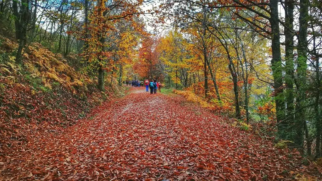 Extremadura en otoño